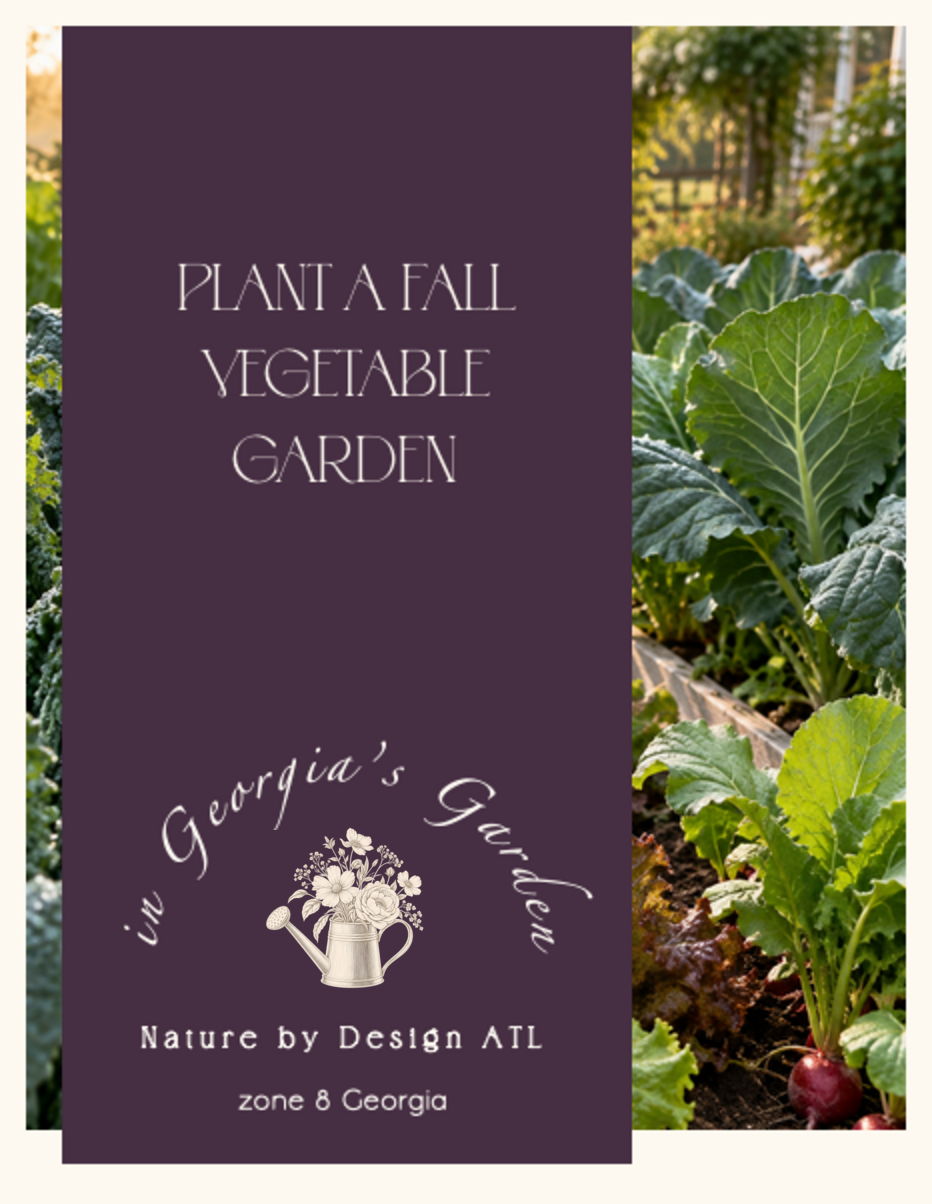Plant a Fall Vegetable Garden in Georgia